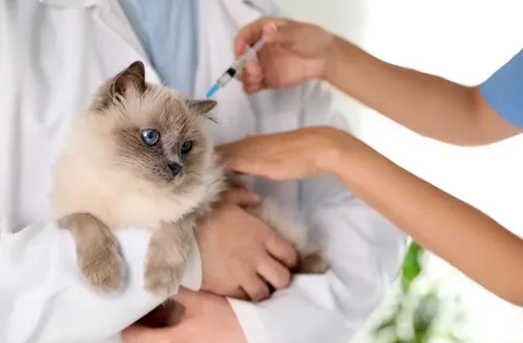Core Vaccines