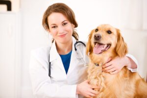Veterinary